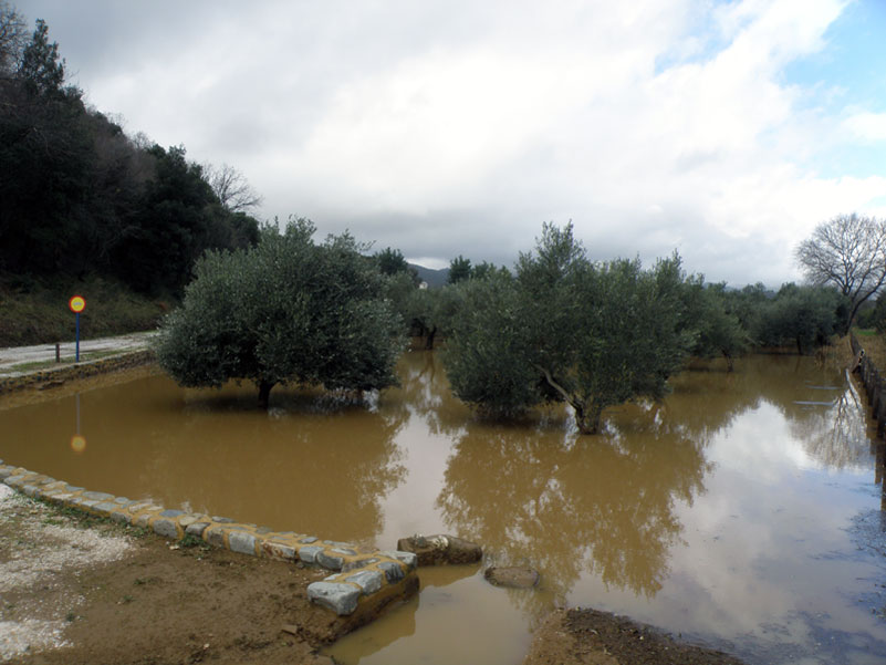 Поплава изазвала штету на хиландарском метоху Мило Арсеница (Каково)
