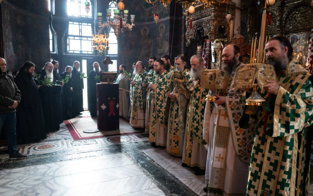 Цвети у Хиландару (фото-галерија)